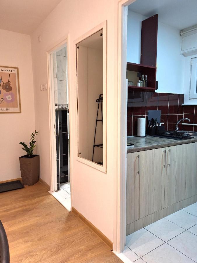 Max Arena Apartment Belgrade